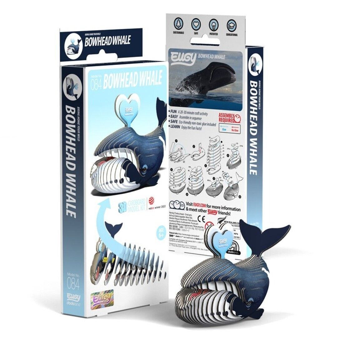 084 - Ballena de Groenlandia